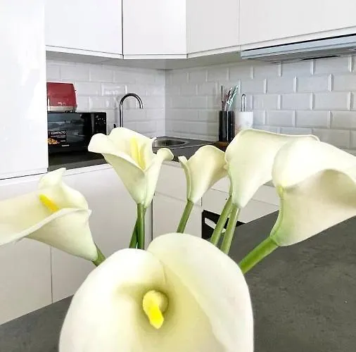 Puerto Paraiso Port * אסטפונה